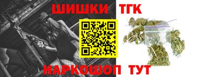 мдпв Кингисепп