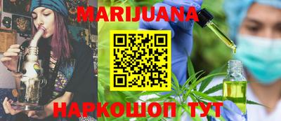 мдпв Кингисепп