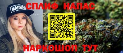 мдпв Кингисепп
