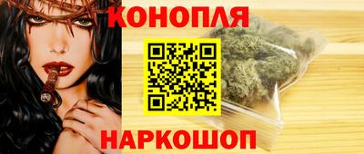 мдпв Кингисепп
