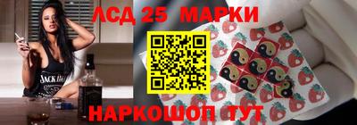 мдпв Кингисепп