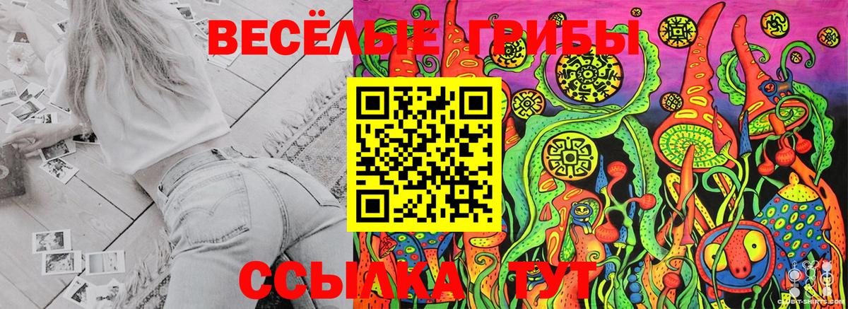 Псилоцибиновые грибы ЛСД Кудымкар